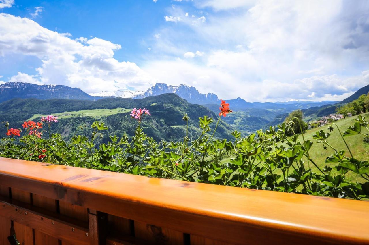 Oberpalwitterhof Apartment Barbiano  Bagian luar foto